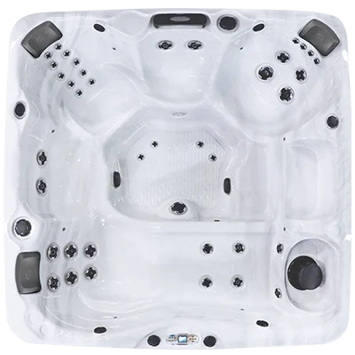 Avalon EC-840L hot tubs for sale in Mifflin Ville