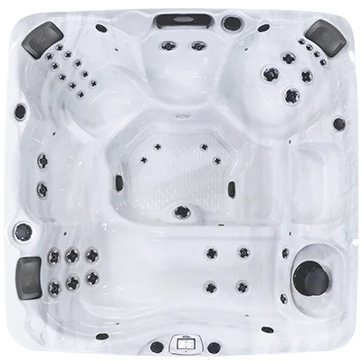 Avalon-X EC-840LX hot tubs for sale in Mifflin Ville