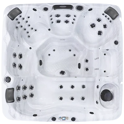 Avalon EC-867L hot tubs for sale in Mifflin Ville