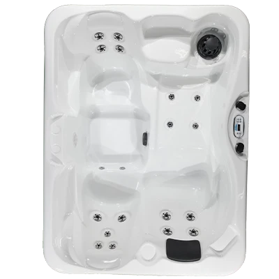 Kona PZ-519L hot tubs for sale in Mifflin Ville